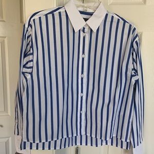J Crew blue white stripe shirt